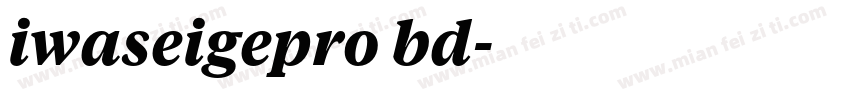 iwaseigepro bd字体转换